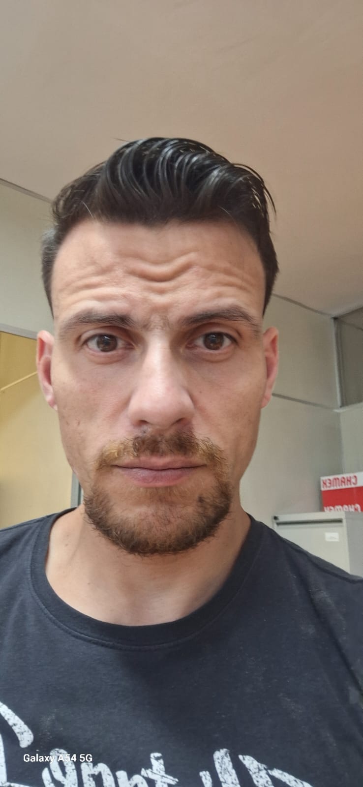 William Jorge Abramson Raphael 