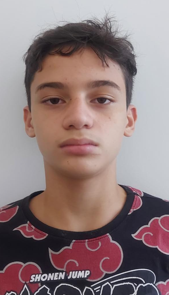 Rodrigo Vieira Marchetti Dias