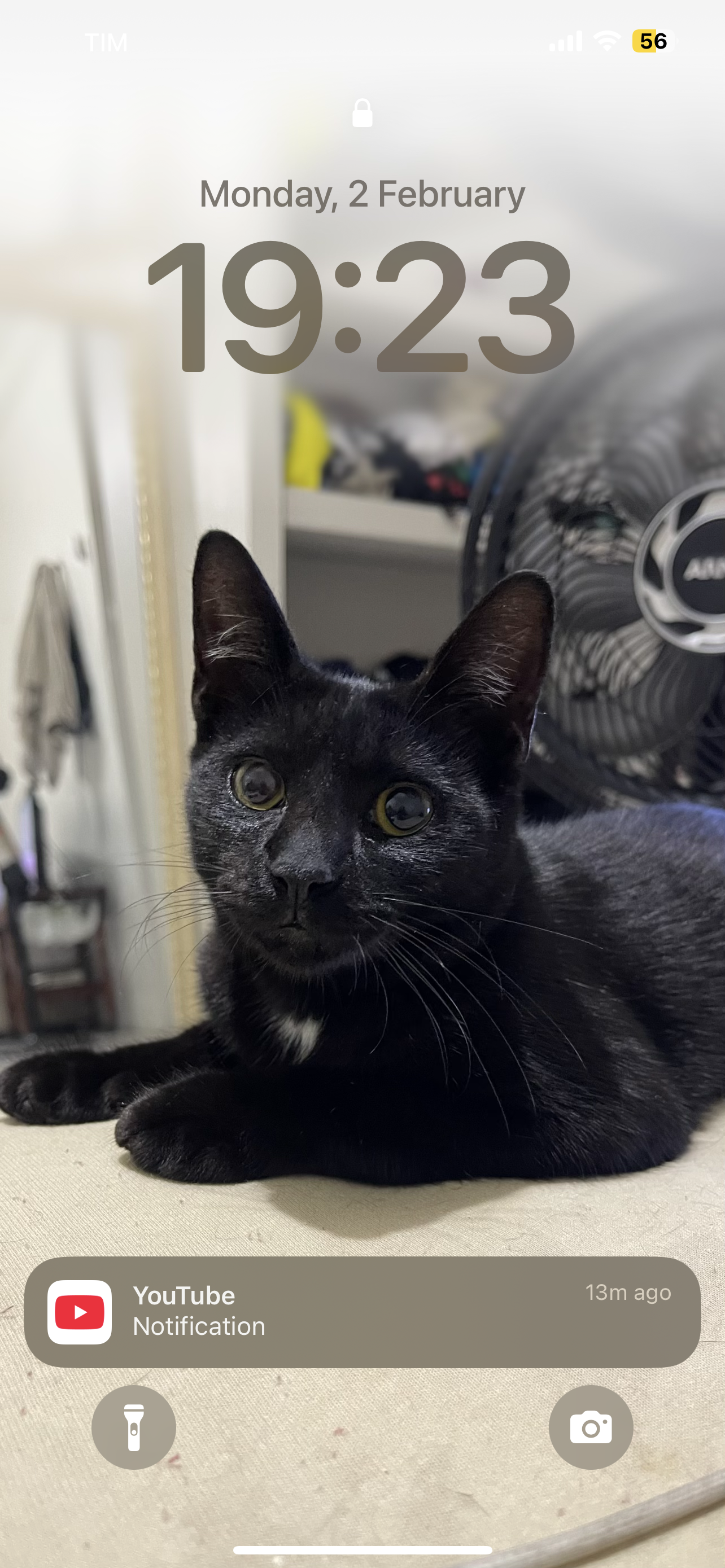 Paulo Sérgio Brasil Gomes De Moura