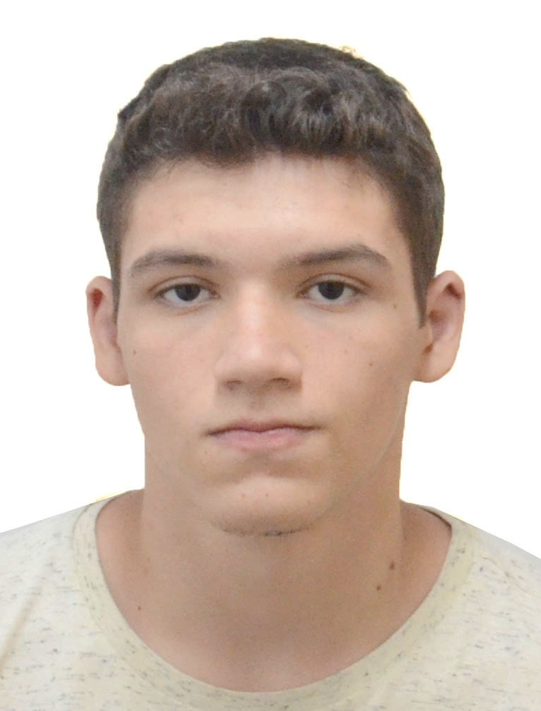Luiz Gustavo De Morais Guimarães