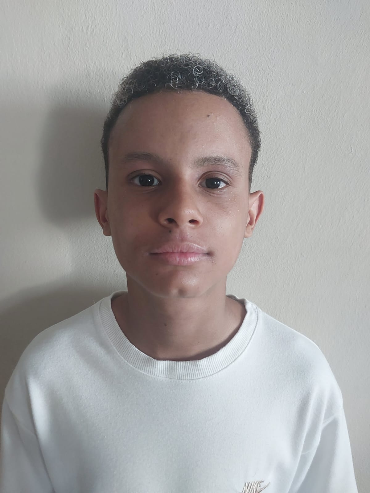 Arthur Goes De Jesus Santos