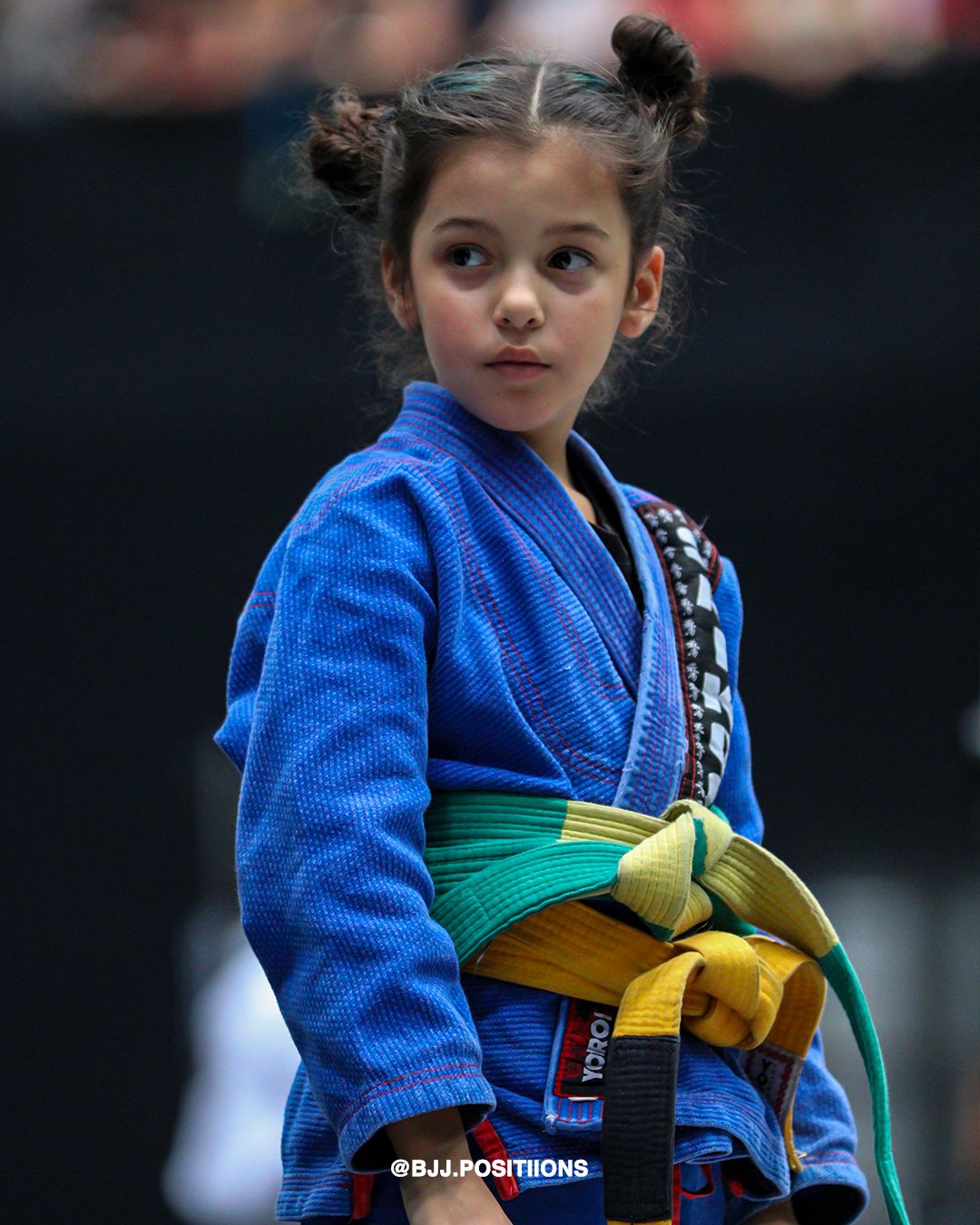 Elisa Francischetti Garcia 