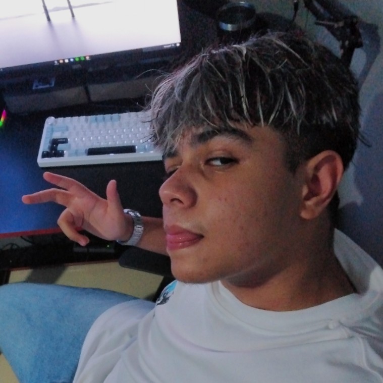 Gabriel Manica Rodrigues 