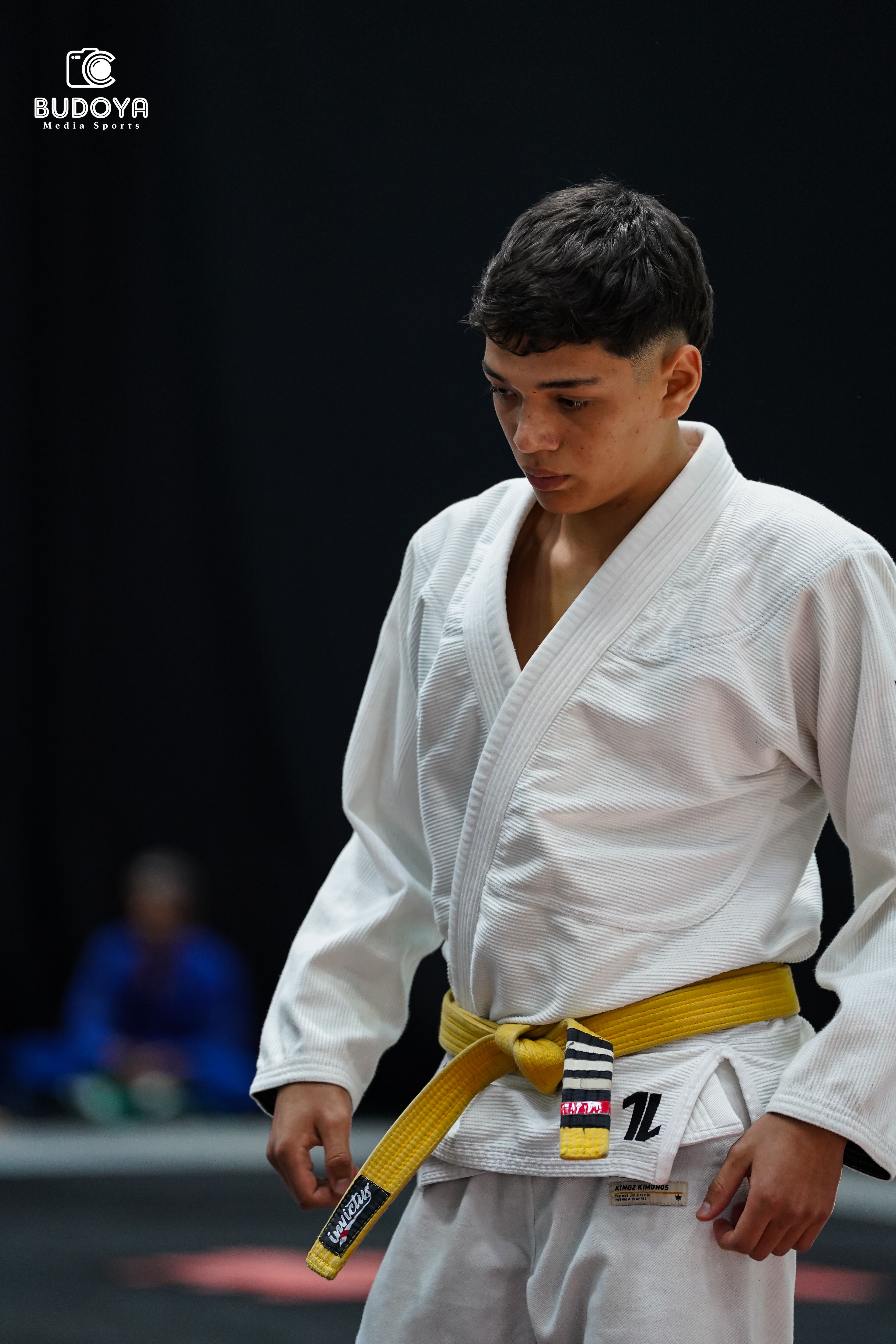 Vinícius Faustino Fujiwara