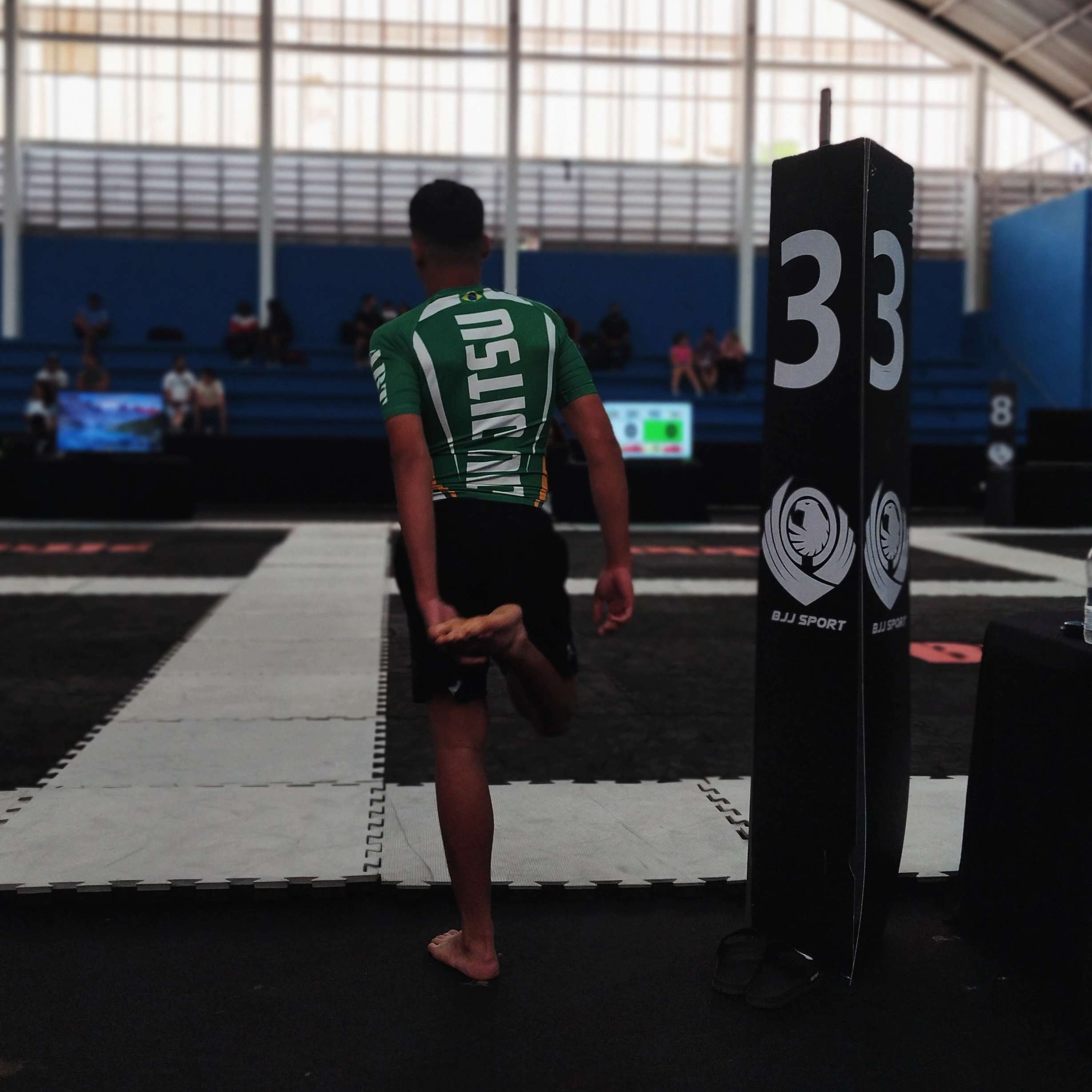 André Vitor Vieira Marroques 