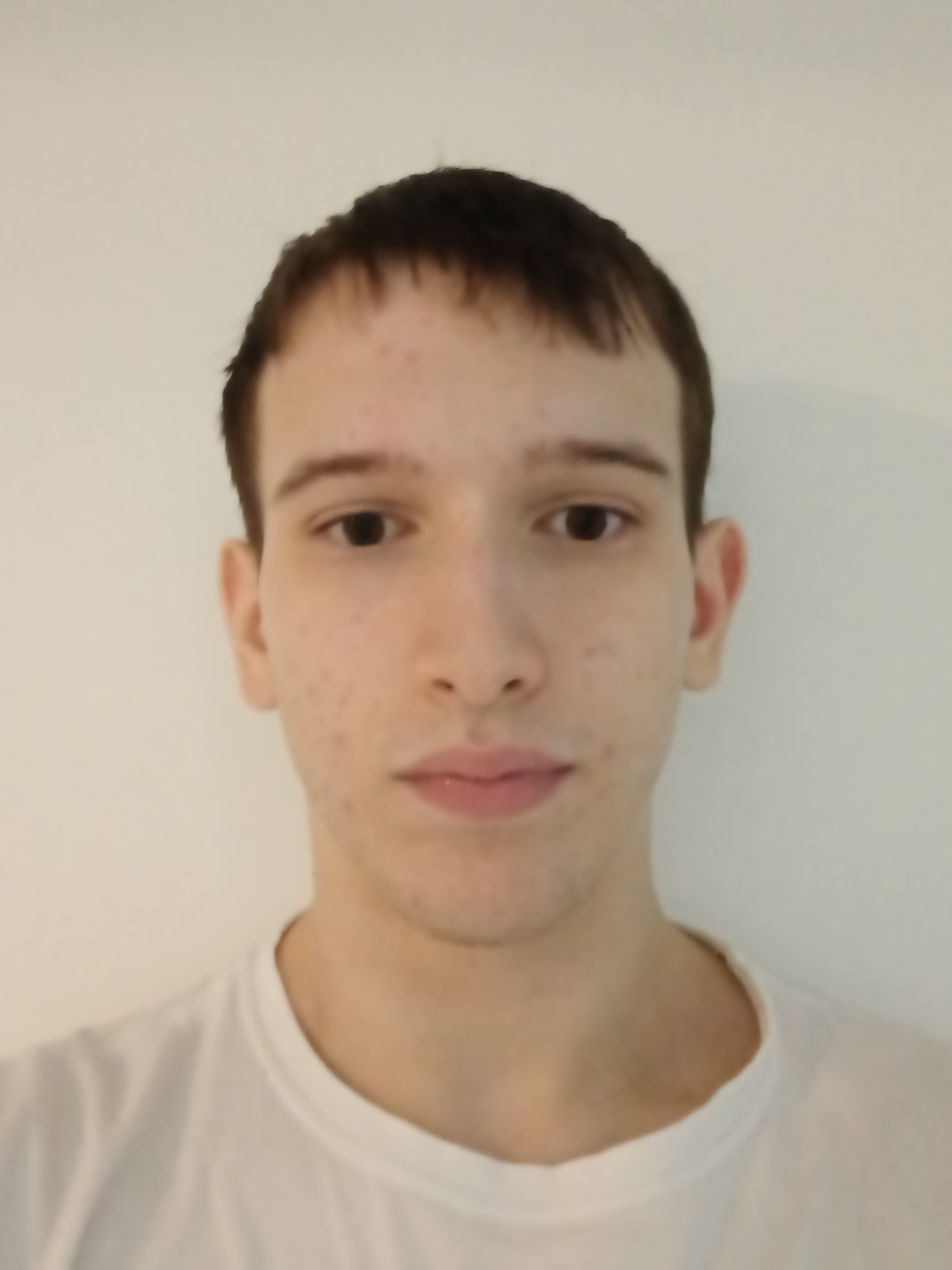 Felipe Teixeira Bernardino 