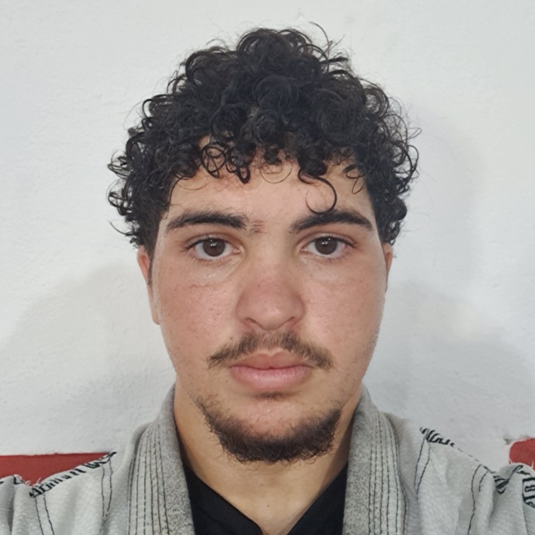 Pedro Henrique Pereira Da Silva 