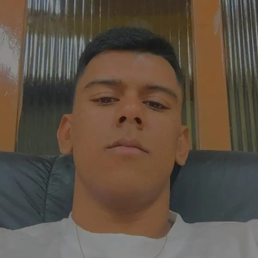 Pedro Henrique Ribeiro Silva