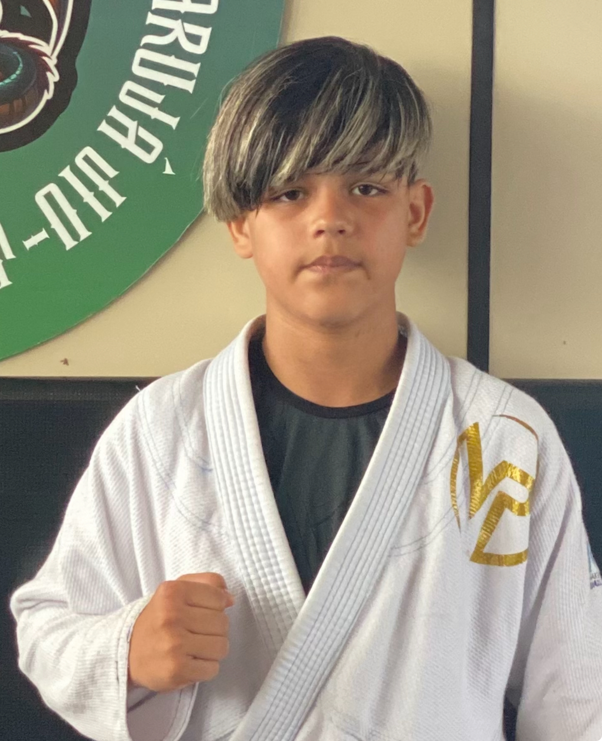 Vinycius Pereira Lopes Silva