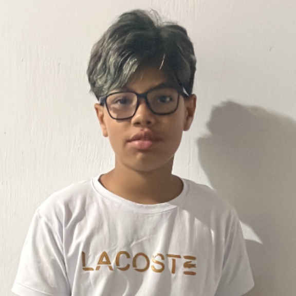 Wendell Pietro Da Silva Pacheco 