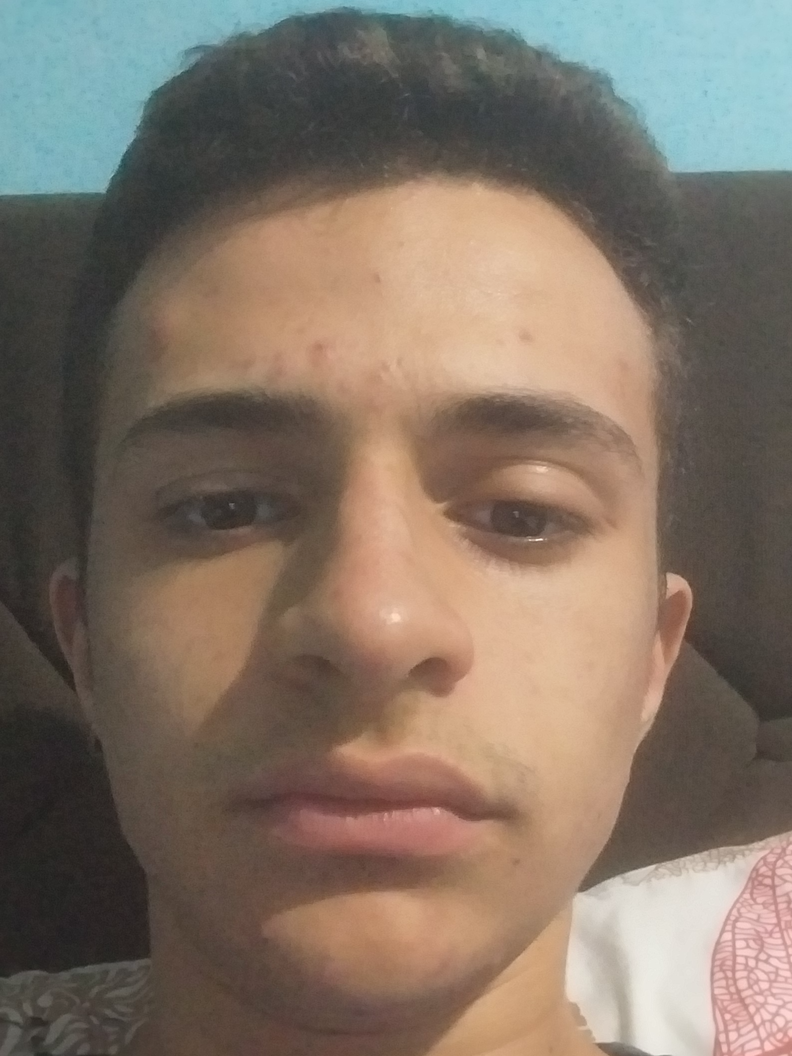 Henrique Fernandes Pinheiro 