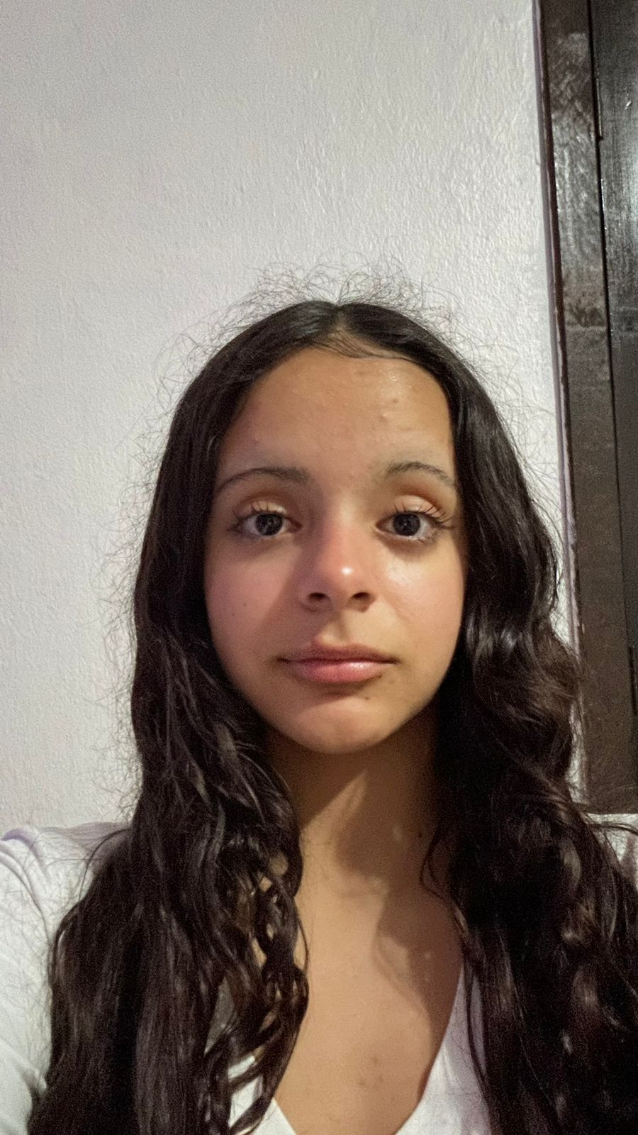 Julia Isabela Ferrão Ilha