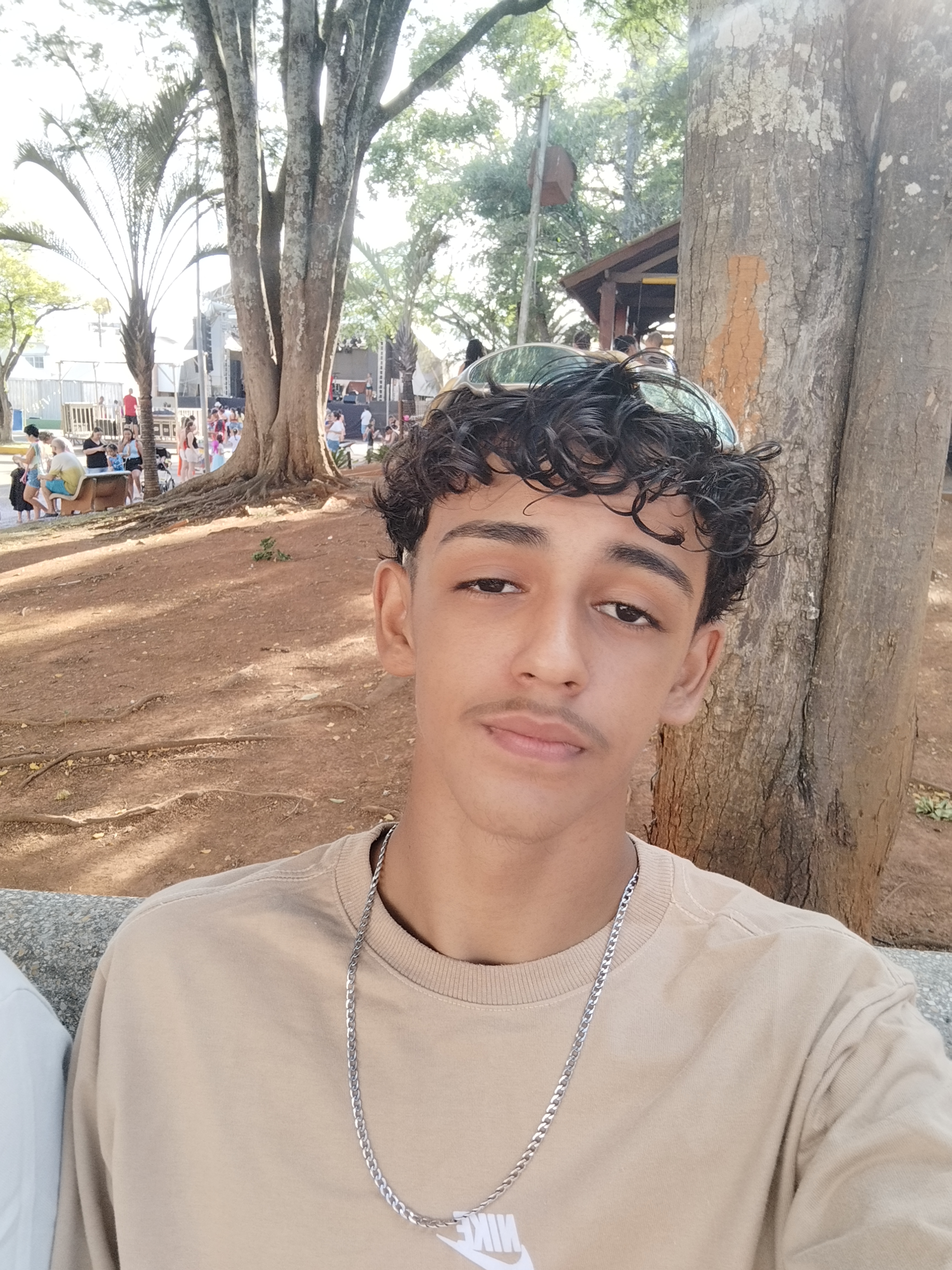 Luis Felipe Elias De Araujo