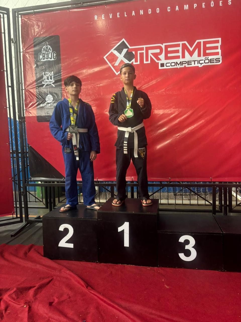 Diego Enrique De Luccas Fernandes 