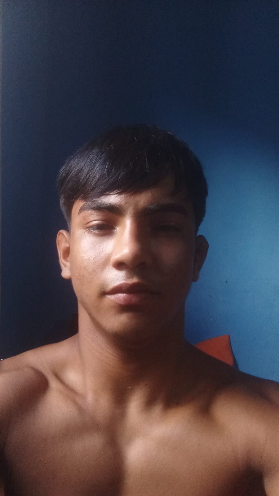 Henrique Nogueira Fonseca