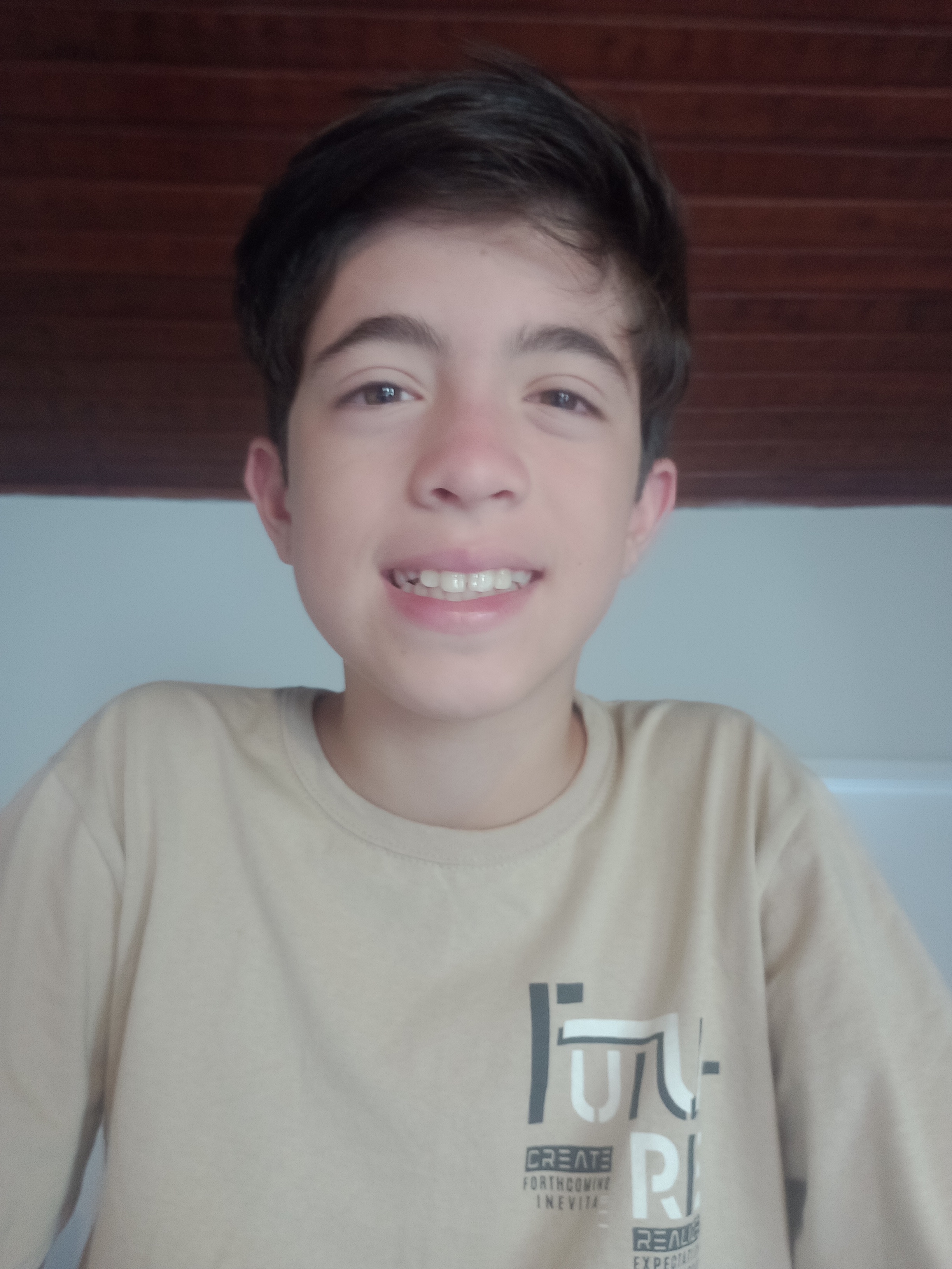 Gabriel Lins De Almeida Saez 