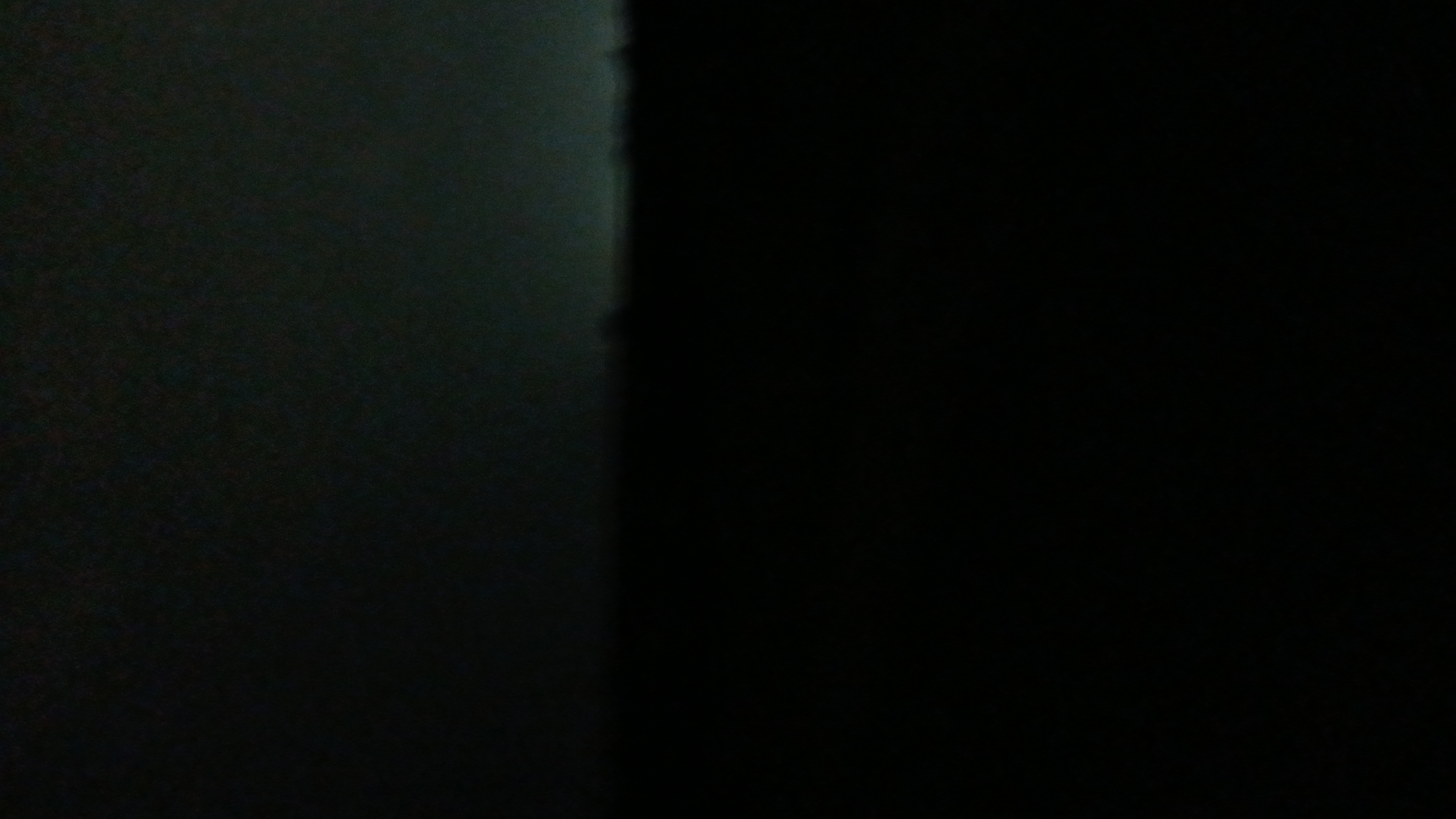 Vinicius Ayres Almeida Vaz