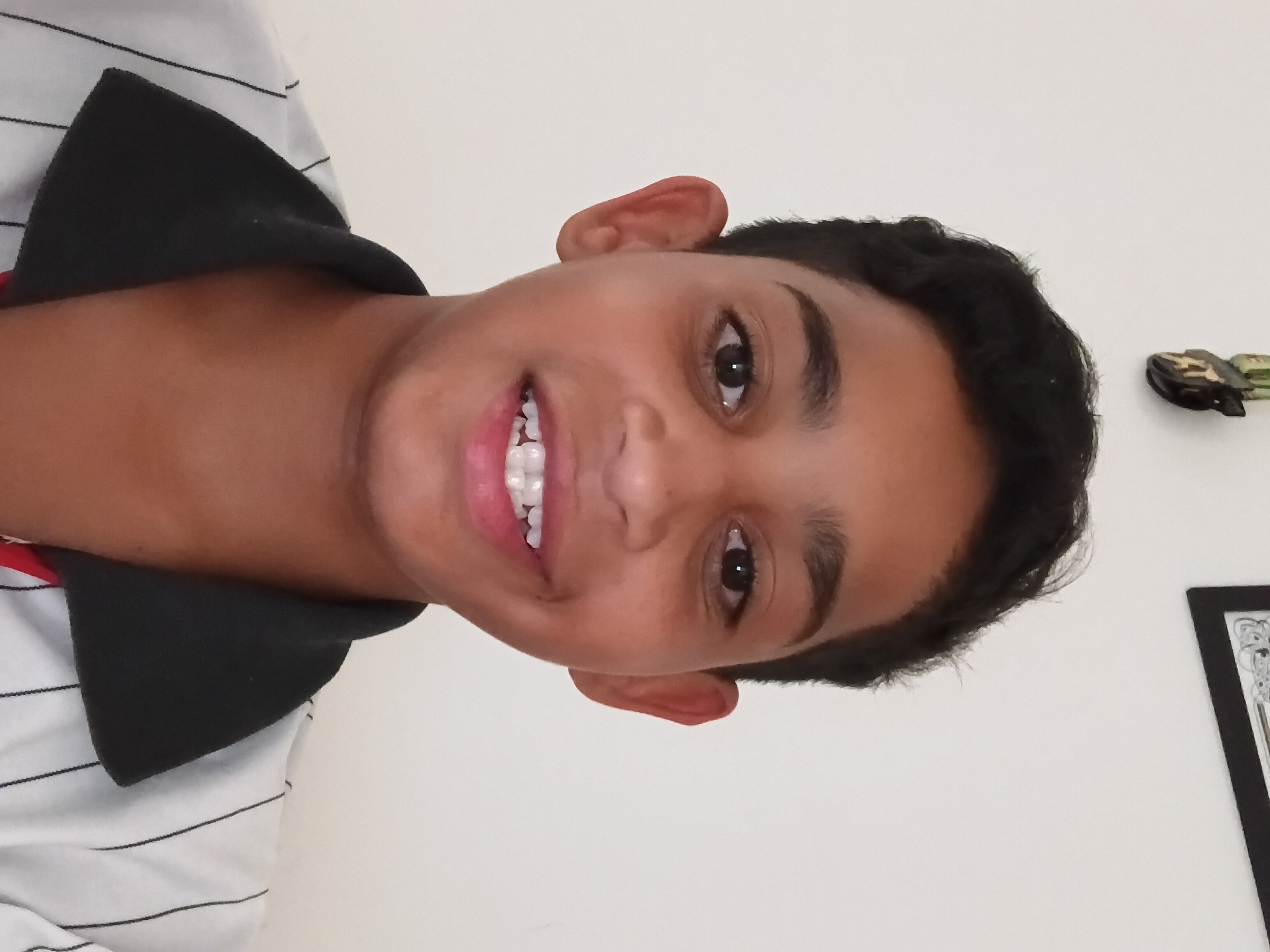 Miguel Arthur Pereira Guedes