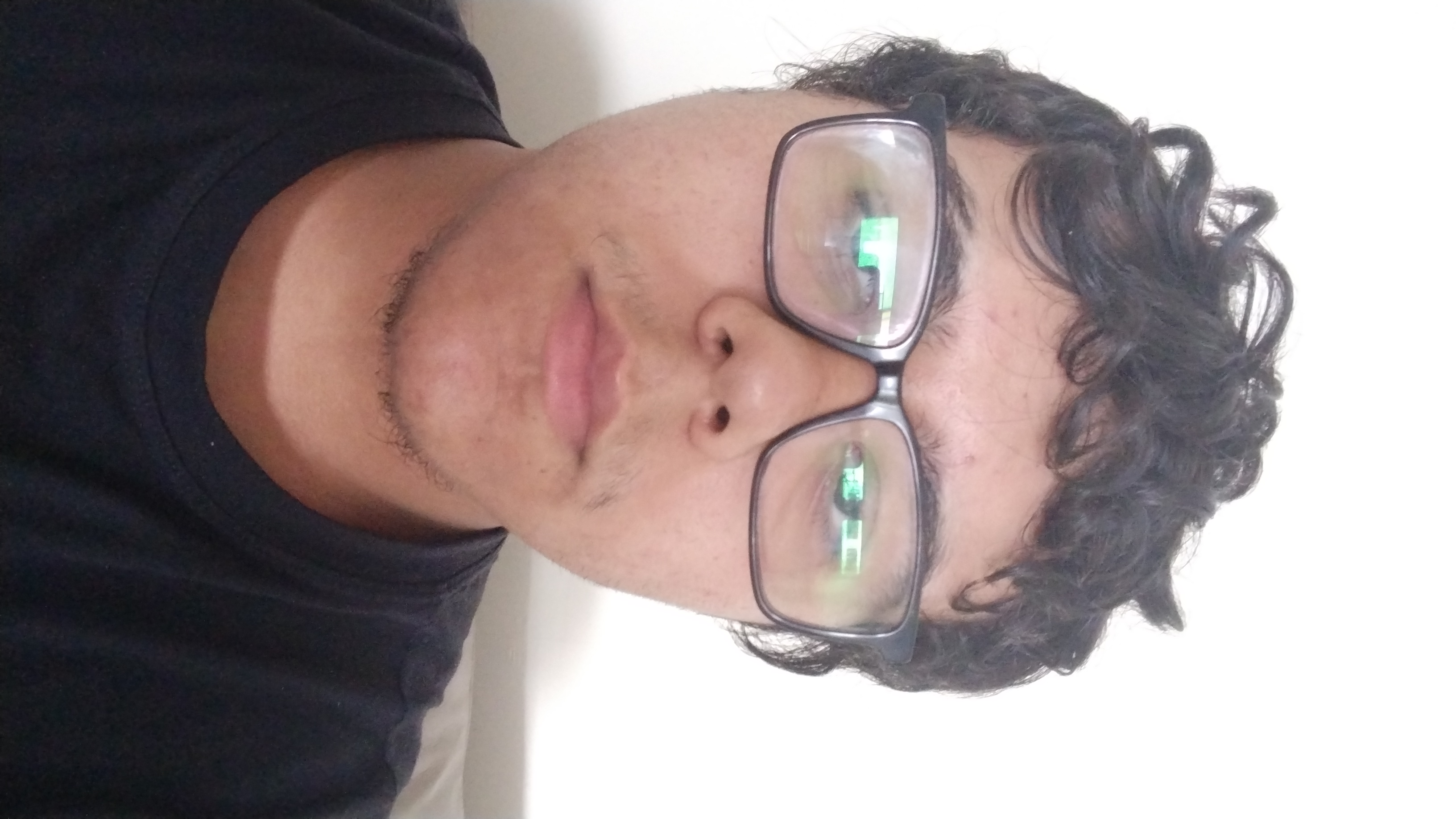 Luiz Vitor Dos Santos Diniz 