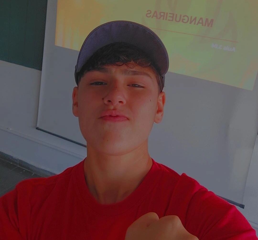 Ariel Fabiana Bertotto Grusiecki De Lima 