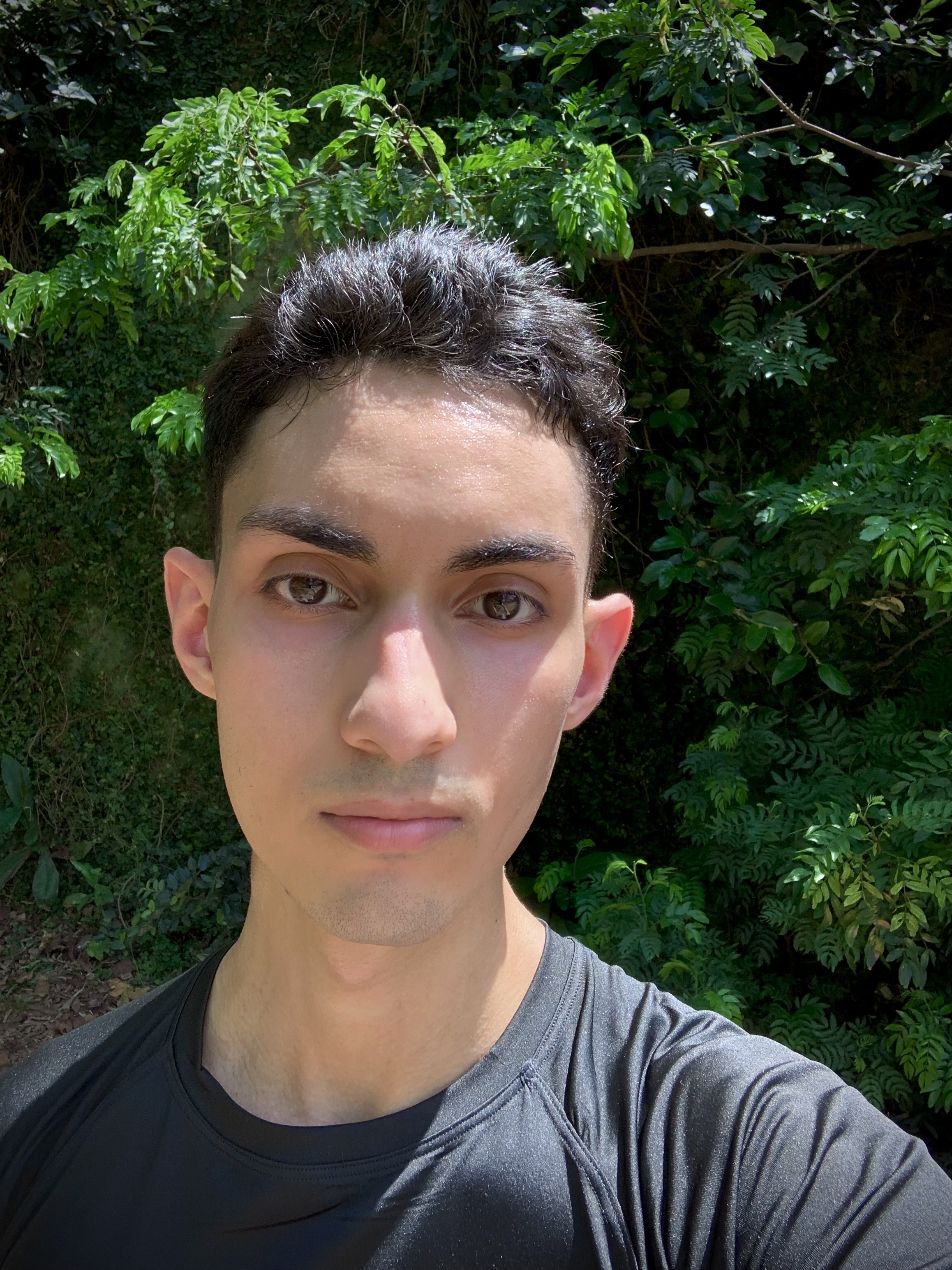 Luiz Felipe Silva Dos Santos