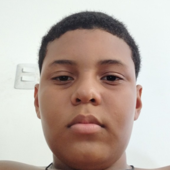 Gabriel Alves De Oliveira 