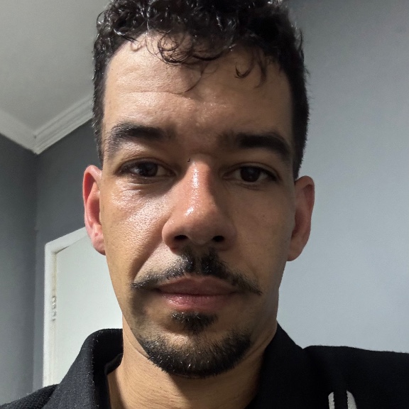 Luan Henrique Alves Borgo 