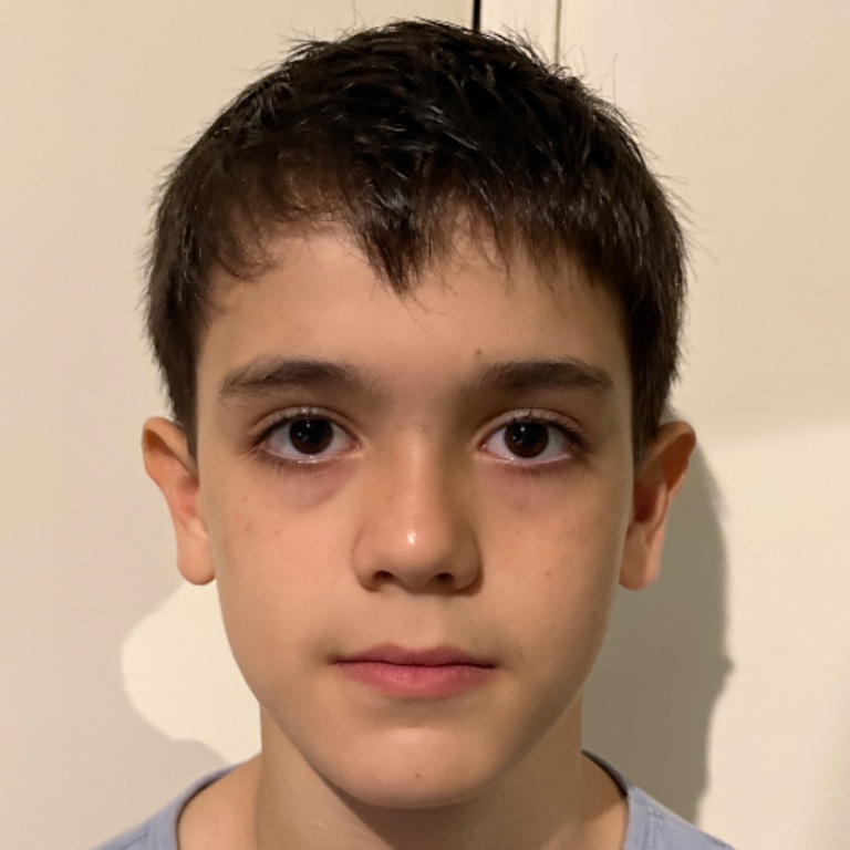 Pedro Augusto Manzano Pimentel Ferreira 