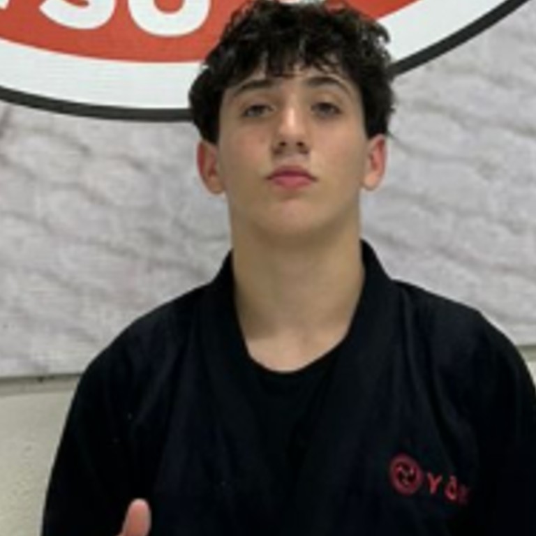 Gabriel De Simone Alves 