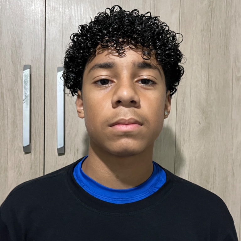 Pedro Henrique Da Silva Santos 