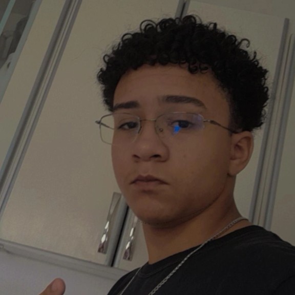 Pedro Henrique Gomes Da Silva