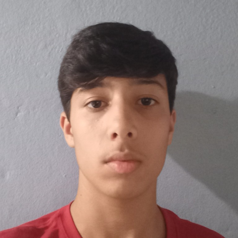 Gabriel Menezes Rodrigues 