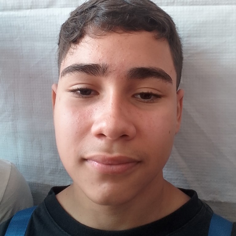 Gustavo Henrique Santos Silva 