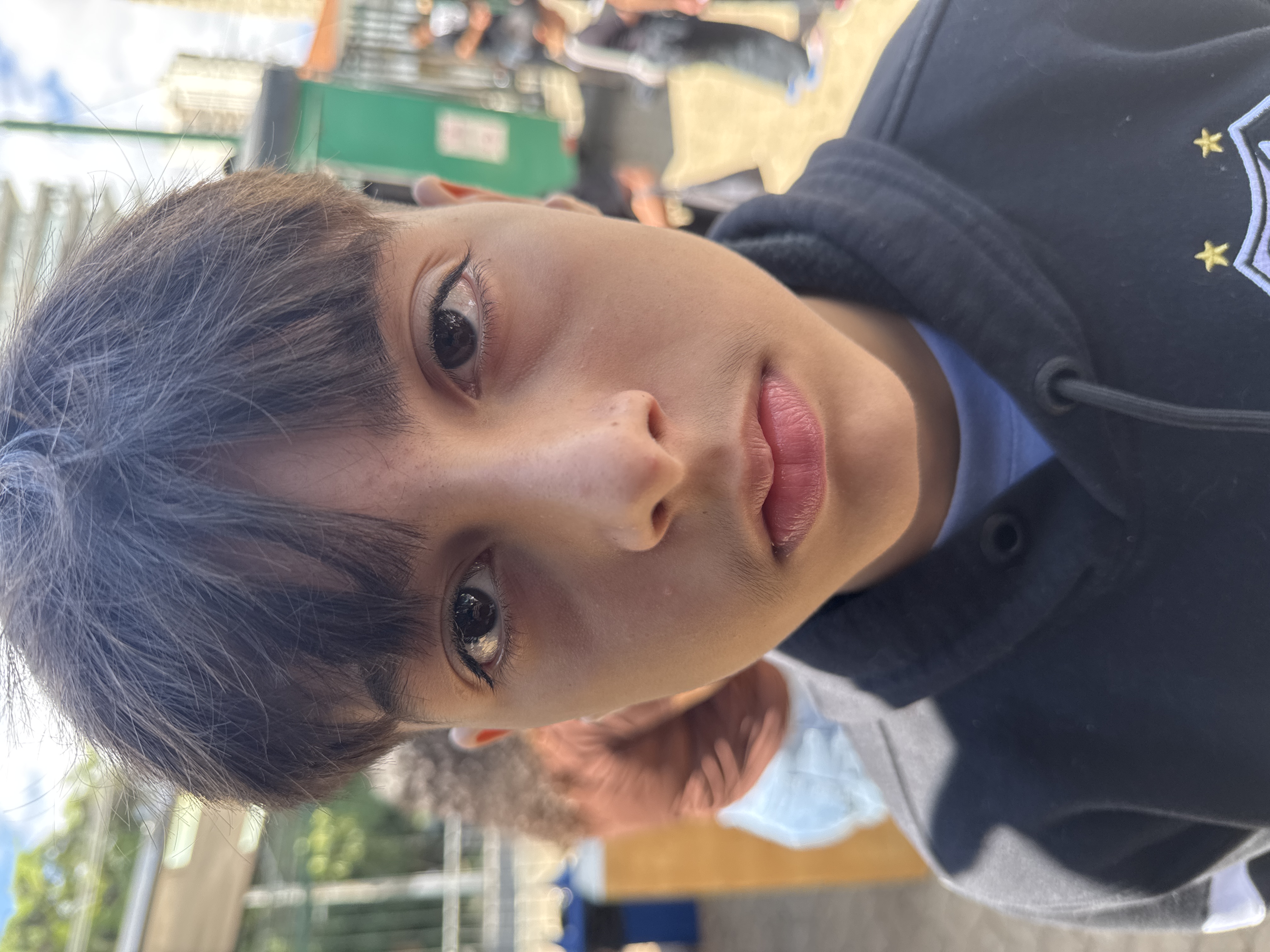 Pedro Albergaria  Bricatte 