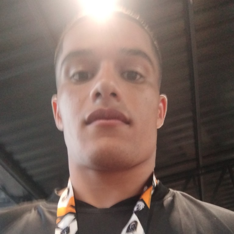 Pedro Henrique Fulaneto De Oliveira 