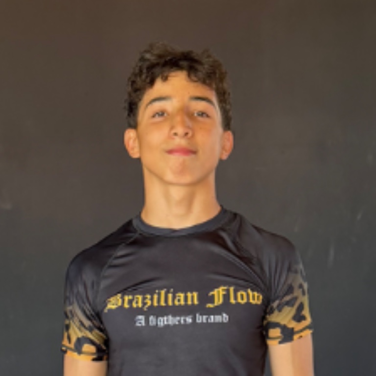 Vinicius Cheles Dos Santos 