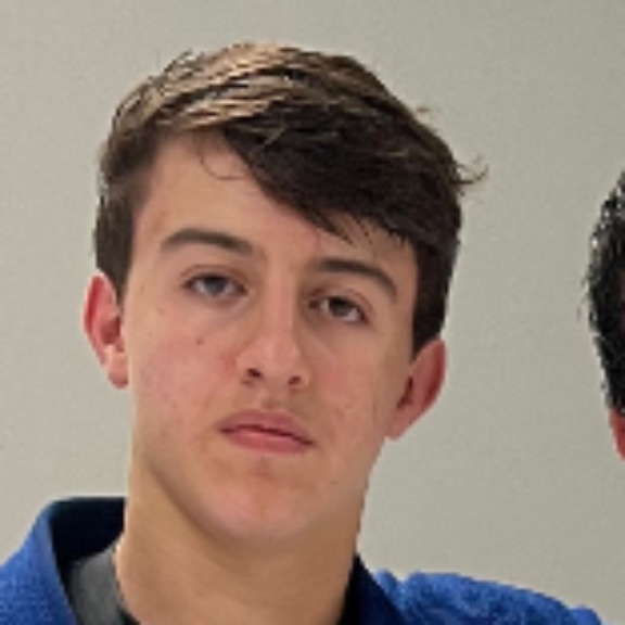 Henrique Bock Artigas Ferraz