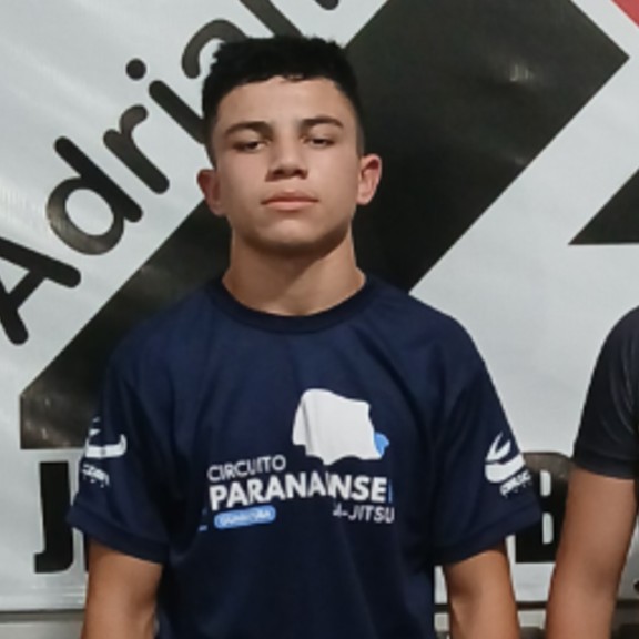 Pedro Henrique Ripka Campos 