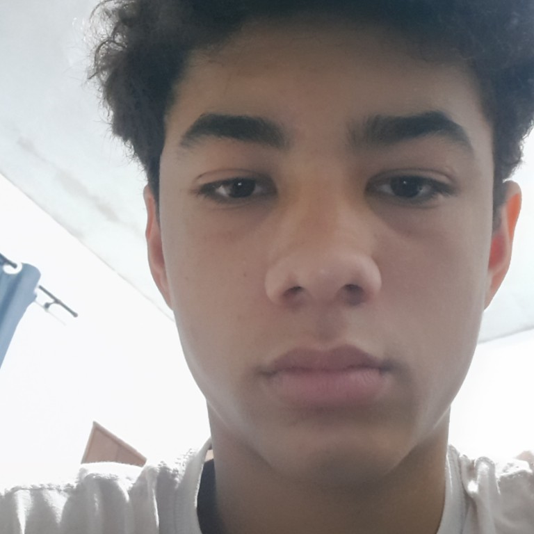 Arthur Miguel Dos Santos Dias