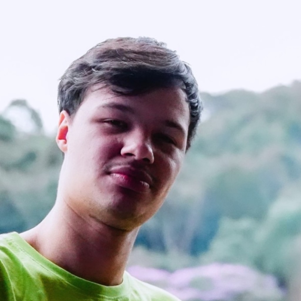 Davi Vinícius Zarth Cabral