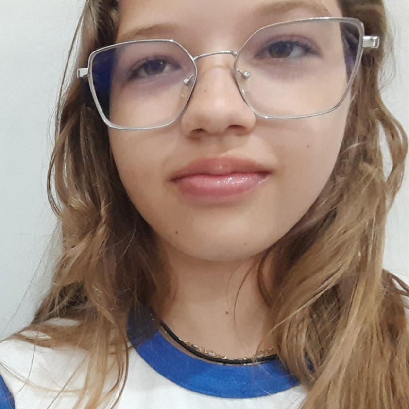 Chedllyn Vitória Kaiber Martins 