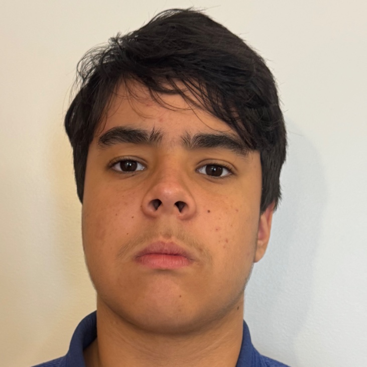 Arthur De Freitas Torres Selestrim 