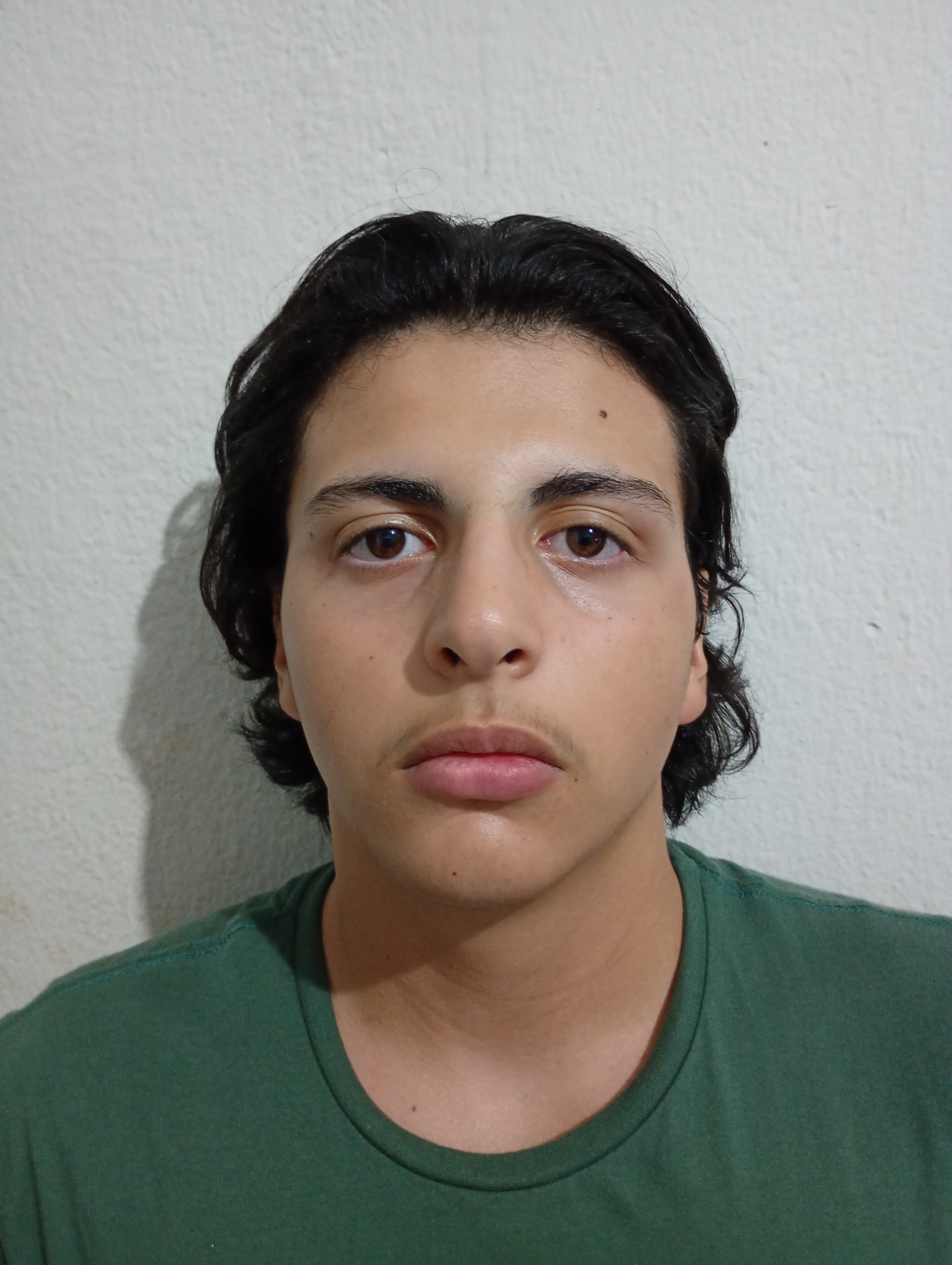 Henrique Cayres Ferreira Da Silva 