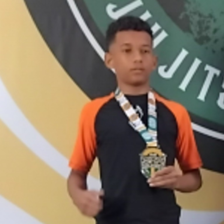 Thaua Fernando Da Silva Santos 