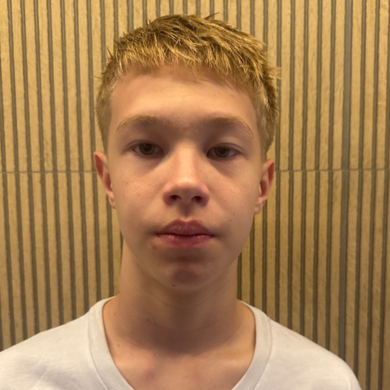 Henrique Inoue Maito