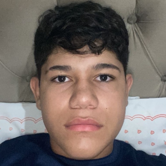 Victor Hugo Ferreira Dias Da Silva 