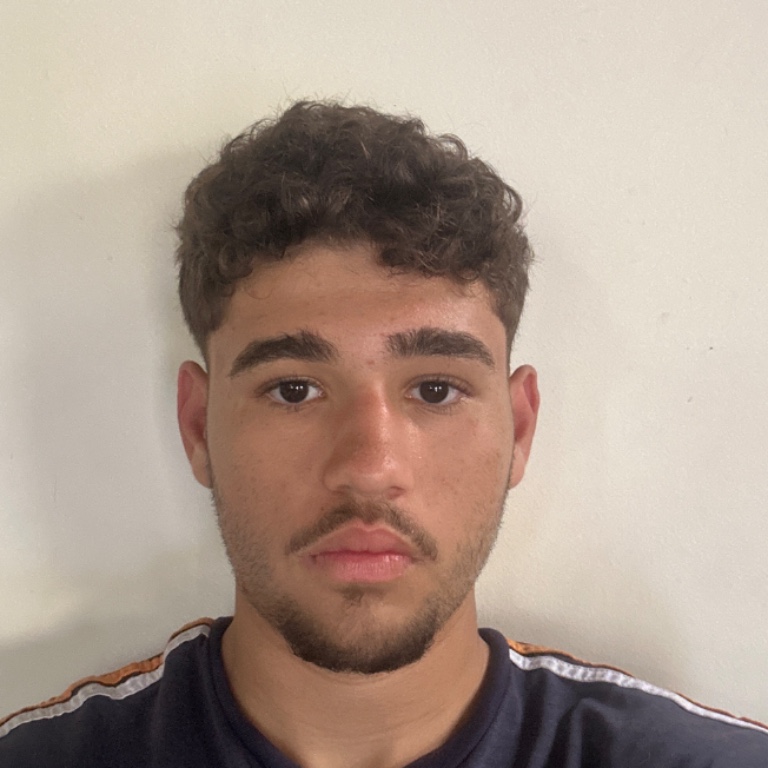 Davi Vieira Meirelles 