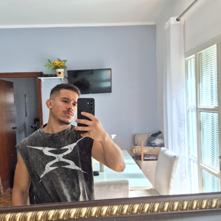 Gabriel Henrique De Almeida Castro 