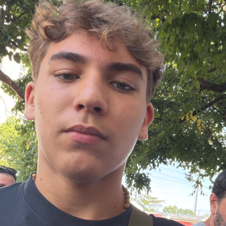 Miguel Luz Guimarães Gomes 