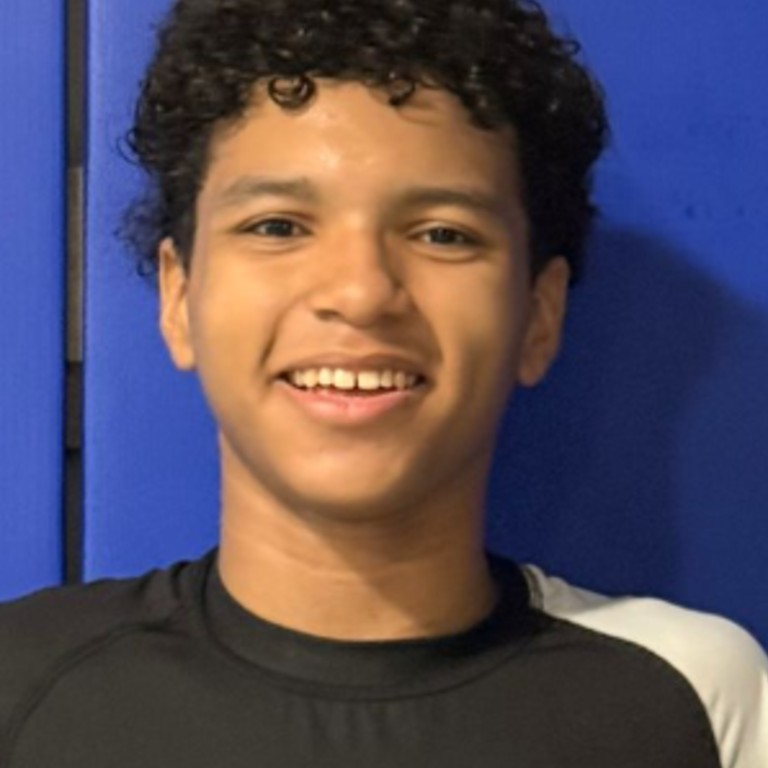 Pedro Henrique Guedes Moraes 